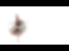 Động cơ bước nam châm vĩnh cửu mini 10 mm 5v 2 pha 18 độ