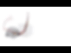 Động cơ bước hai pha tiến độ cao với đường kính 35 mm và góc bước 15 độ