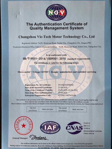 Trung Quốc Changzhou Vic-Tech Motor Technology Co., Ltd. Chứng chỉ